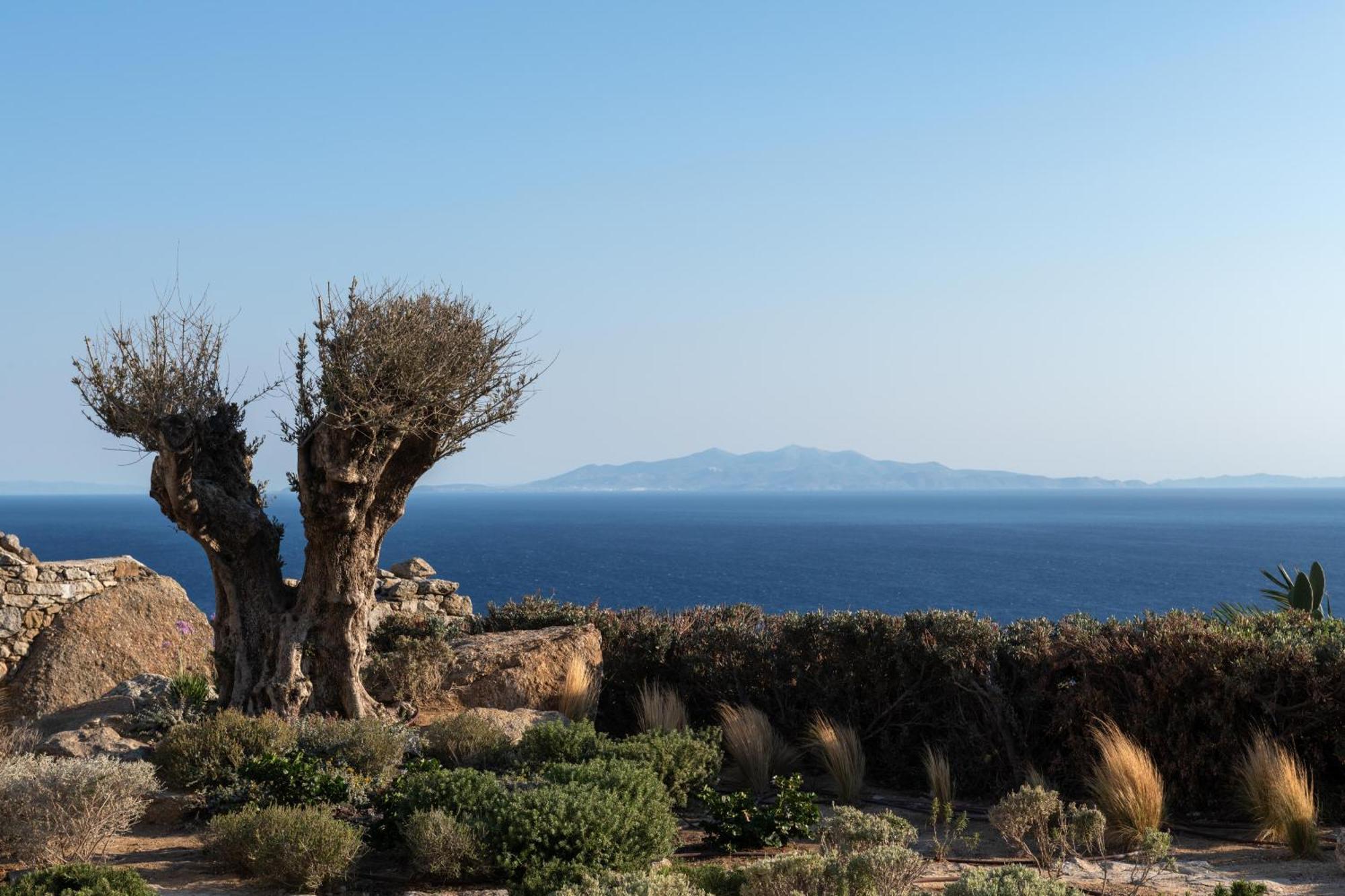 Villa Ava Mykonos Mykonos Town Luaran gambar
